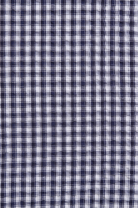 Модная мужская рубашка в клетку из тонкого хлопка арт. MS18069 от Meucci (Италия) - фото. Цвет: Белый в синюю клетку. Купить в интернет-магазине https://shop.meucci.ru

