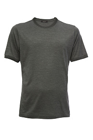 Шелковая футболка серого цвета (22FRTL4742 GREY)