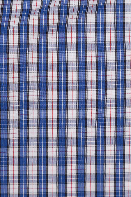 Модная мужская приталенная рубашка в клетку арт. SL90302R1020182/1604 от Meucci (Италия) - фото. Цвет: Синий в клетку.

