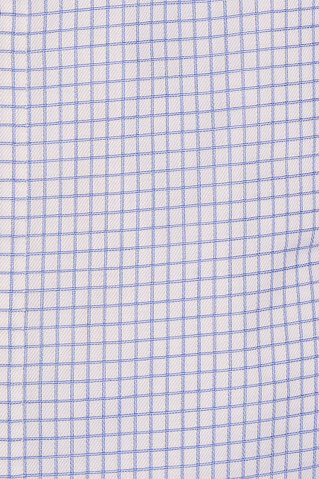 Модная мужская рубашка с длинным рукавом в синюю клетку  арт. SL 0191200714 RL CEL/220242 Meucci (Италия) - фото. Цвет: Белый в синюю клетку. 