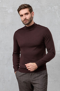 Водолазка коричневого цвета с высокой горловиной (63016/22025 BROWN)