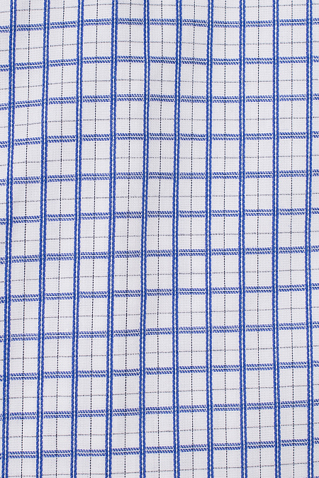 Рубашка в клетку с длинным рукавом для мужчин бренда Meucci (Италия), арт. SL 902020 R CEL 0191/182036 - фото. Цвет: Белый, синяя клетка. Купить в интернет-магазине https://shop.meucci.ru
