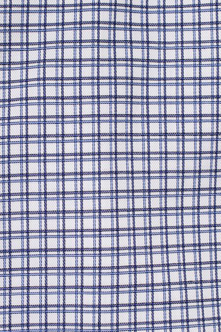 Модная мужская рубашка в клетку с длинным рукавом  арт. SL 902020 RL CEL 0191/182037 от Meucci (Италия) - фото. Цвет: Сине-белая клетка. Купить в интернет-магазине https://shop.meucci.ru

