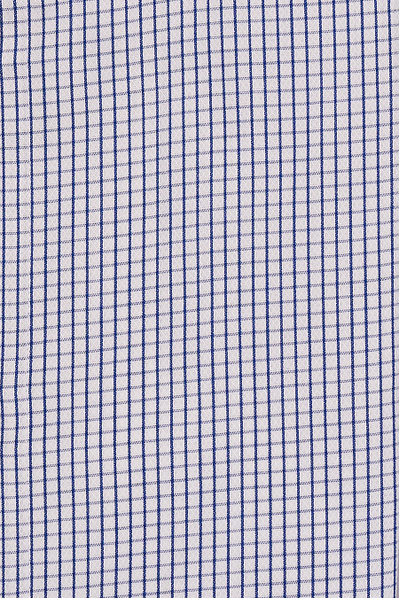 Модная мужская рубашка с длинным рукавом в синюю клетку арт. SL 0191200714 R CEL/220220 от Meucci (Италия) - фото. Цвет: Белая в синюю клетку. Купить в интернет-магазине https://shop.meucci.ru

