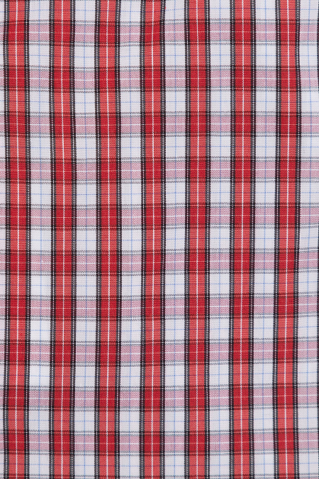 Модная мужская приталенная рубашка в клетку арт. SL90302R1050182/1605 от Meucci (Италия) - фото. Цвет: Красный в клетку. Купить в интернет-магазине https://shop.meucci.ru

